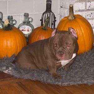 Meet your Posher, Marcelina